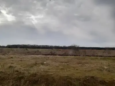 Teren extravilan arabil de vanzare in Moara Vlasiei Ilfov